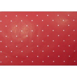 Seda Decorada 49x69cm C/25 folhas